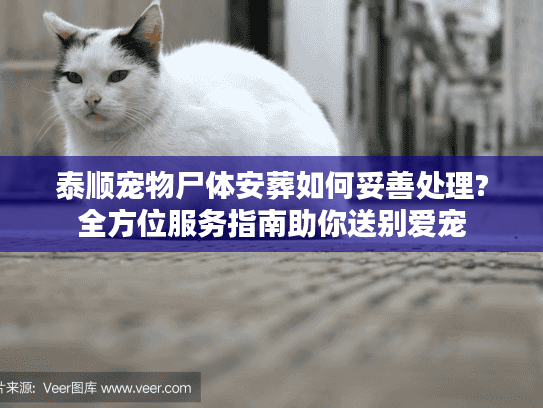 泰顺宠物尸体安葬如何妥善处理?全方位服务指南助你送别爱宠