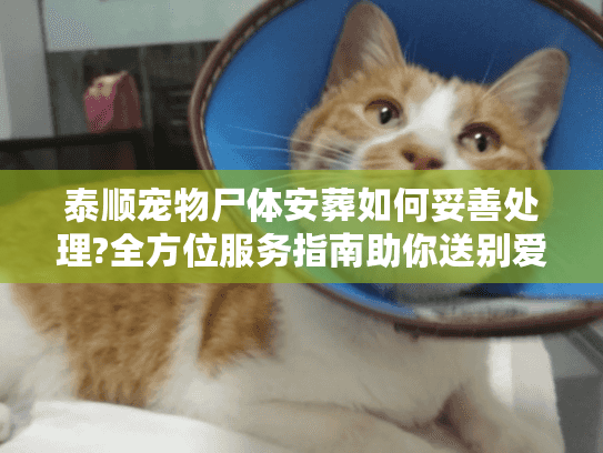 泰顺宠物尸体安葬如何妥善处理?全方位服务指南助你送别爱宠