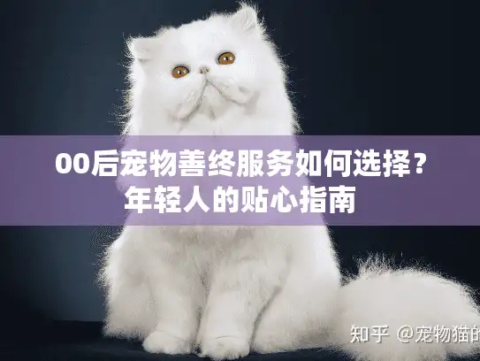 00后宠物善终服务如何选择？年轻人的贴心指南