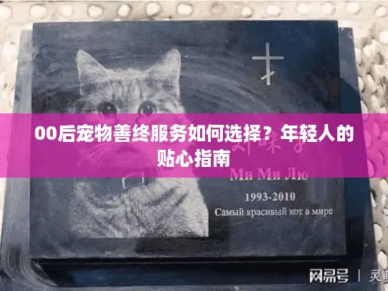 00后宠物善终服务如何选择？年轻人的贴心指南