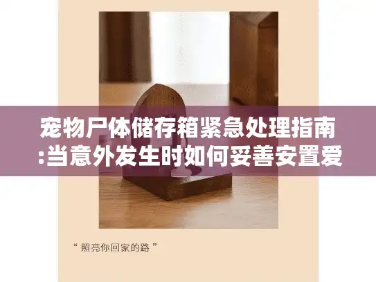 宠物尸体储存箱紧急处理指南:当意外发生时如何妥善安置爱宠 宠物尸体储存箱紧急处理指南:当意外发生时如何妥善安置爱宠