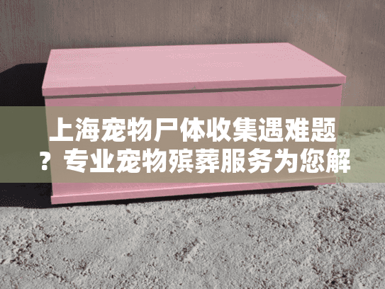 上海宠物尸体收集遇难题？专业宠物殡葬服务为您解忧