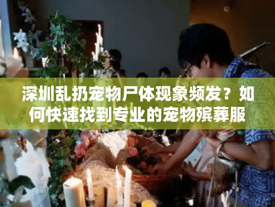 深圳乱扔宠物尸体现象频发？如何快速找到专业的宠物殡葬服务