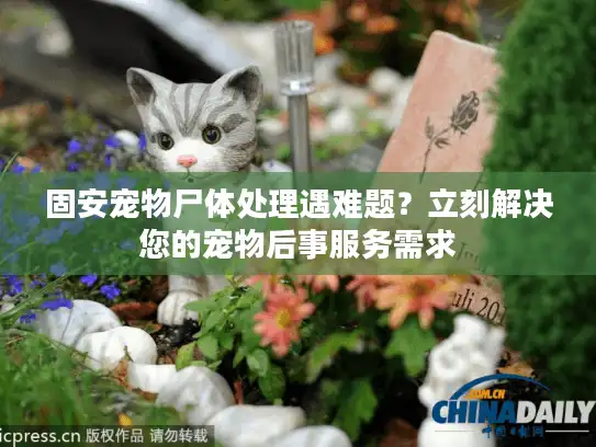 固安宠物尸体处理遇难题？立刻解决您的宠物后事服务需求
