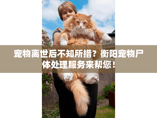 宠物离世后不知所措?衡阳宠物尸体处理服务来帮您! 宠物离世后不知所措?衡阳宠物尸体处理服务来帮您!