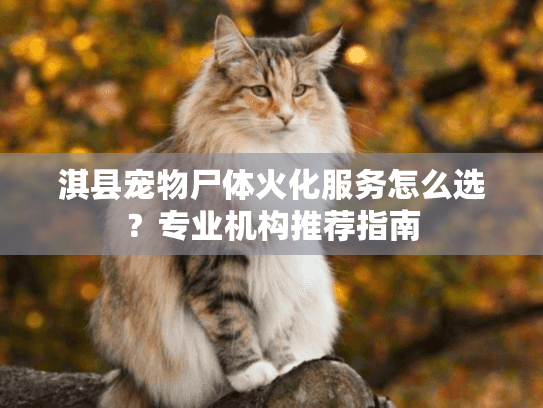 淇县宠物尸体火化服务怎么选？专业机构推荐指南