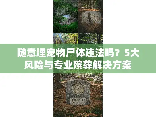 随意埋宠物尸体违法吗？5大风险与专业殡葬解决方案