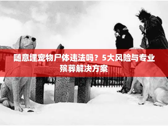 随意埋宠物尸体违法吗？5大风险与专业殡葬解决方案