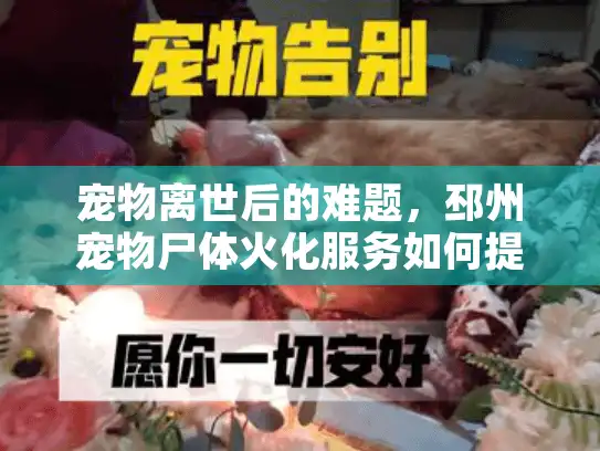 宠物离世后的难题，邳州宠物尸体火化服务如何提供专业支持？