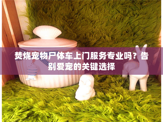 焚烧宠物尸体车上门服务专业吗？告别爱宠的关键选择