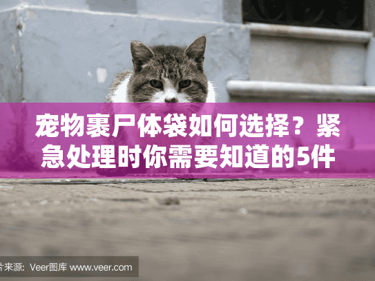 宠物裹尸体袋如何选择?紧急处理时你需要知道的5件事 宠物裹尸体袋如何选择?紧急处理时你需要知道的5件事