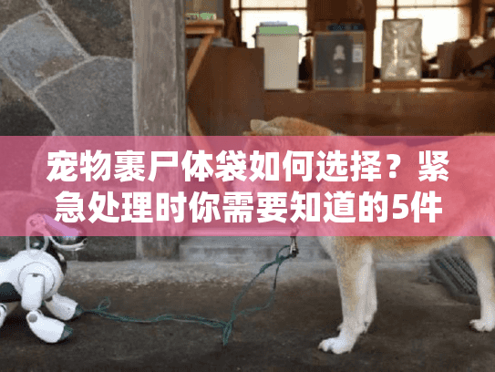 宠物裹尸体袋如何选择?紧急处理时你需要知道的5件事 宠物裹尸体袋如何选择?紧急处理时你需要知道的5件事