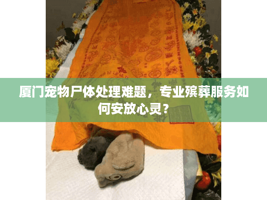 厦门宠物尸体处理难题，专业殡葬服务如何安放心灵？