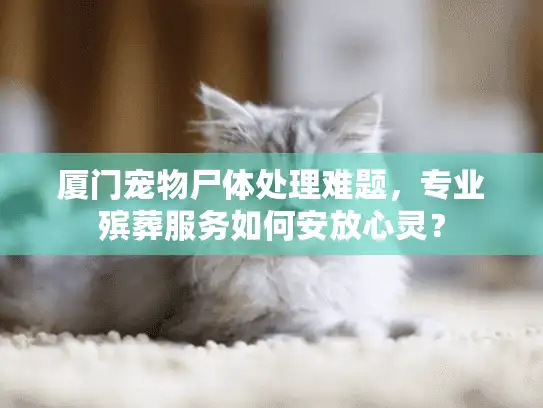 厦门宠物尸体处理难题，专业殡葬服务如何安放心灵？
