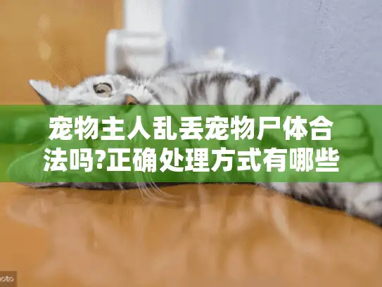 宠物主人乱丢宠物尸体合法吗?正确处理方式有哪些?