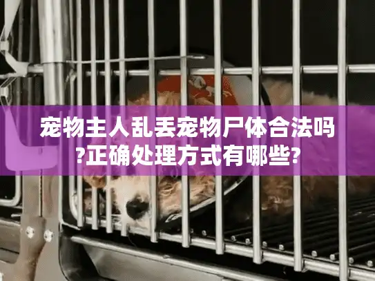 宠物主人乱丢宠物尸体合法吗?正确处理方式有哪些?