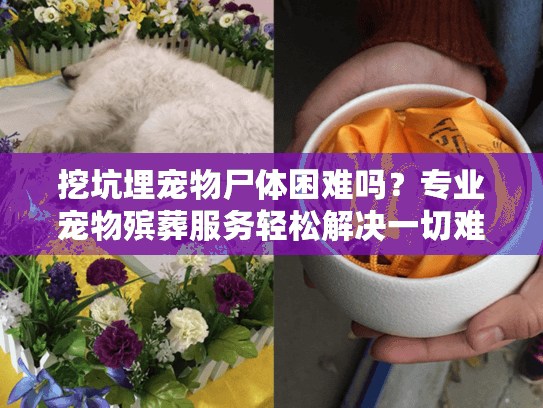 挖坑埋宠物尸体困难吗？专业宠物殡葬服务轻松解决一切难题