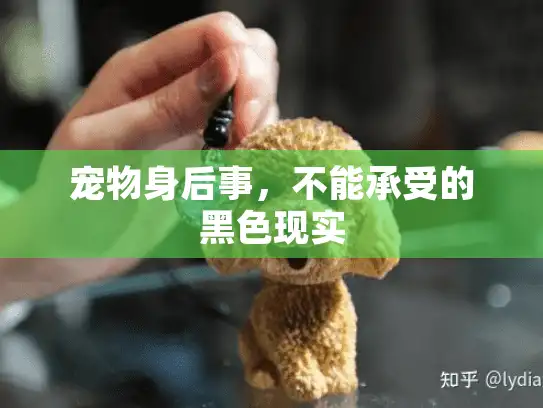 宠物身后事，不能承受的黑色现实