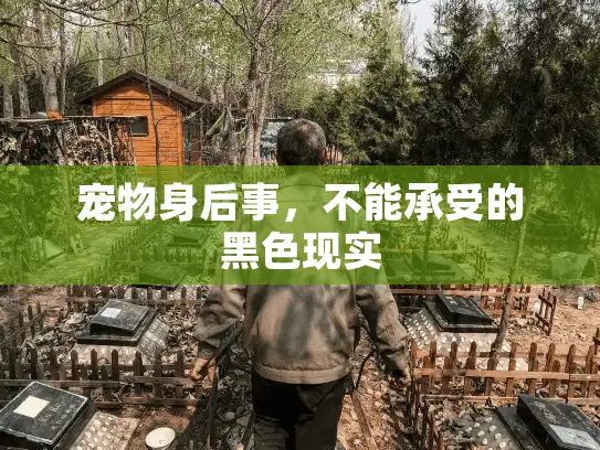 宠物身后事，不能承受的黑色现实