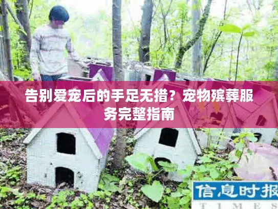 告别爱宠后的手足无措?宠物殡葬服务完整指南 告别爱宠后的手足无措?宠物殡葬服务完整指南