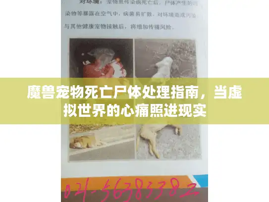 魔兽宠物死亡尸体处理指南,当虚拟世界的心痛照进现实 魔兽宠物死亡尸体处理指南,当虚拟世界的心痛照进现实