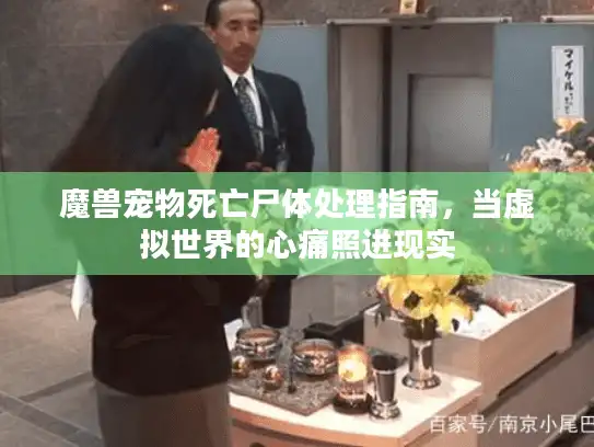 魔兽宠物死亡尸体处理指南,当虚拟世界的心痛照进现实 魔兽宠物死亡尸体处理指南,当虚拟世界的心痛照进现实