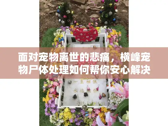 面对宠物离世的悲痛，横峰宠物尸体处理如何帮你安心解决？