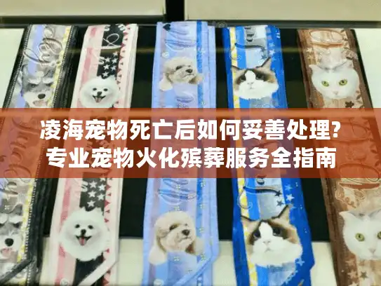 凌海宠物死亡后如何妥善处理?专业宠物火化殡葬服务全指南