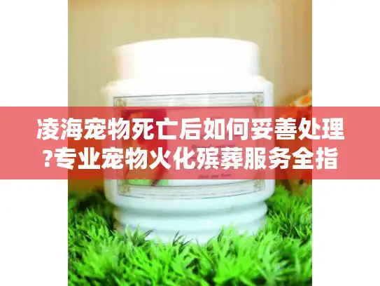 凌海宠物死亡后如何妥善处理?专业宠物火化殡葬服务全指南