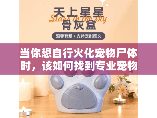 当你想自行火化宠物尸体时,该如何找到专业宠物殡葬机构? 当你想自行火化宠物尸体时,该如何找到专业宠物殡葬机构?