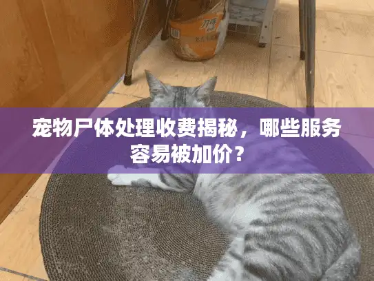 宠物尸体处理收费揭秘，哪些服务容易被加价？