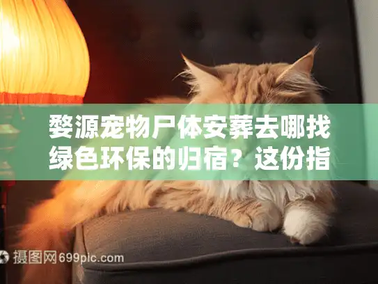 婺源宠物尸体安葬去哪找绿色环保的归宿？这份指南解你燃眉之急