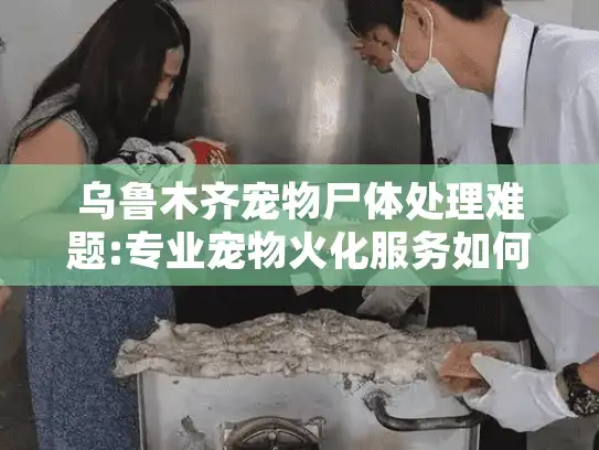 乌鲁木齐宠物尸体处理难题:专业宠物火化服务如何解决?
