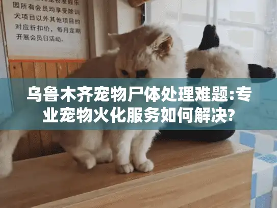 乌鲁木齐宠物尸体处理难题:专业宠物火化服务如何解决?