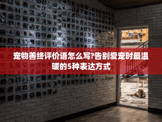 宠物善终评价语怎么写?告别爱宠时最温暖的5种表达方式