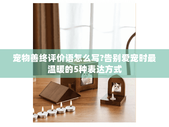宠物善终评价语怎么写?告别爱宠时最温暖的5种表达方式
