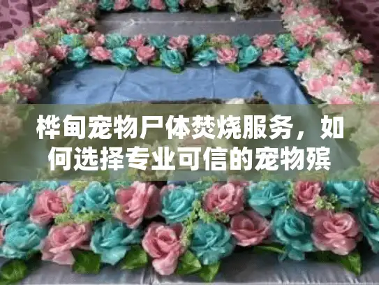 桦甸宠物尸体焚烧服务，如何选择专业可信的宠物殡葬处理？