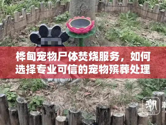 桦甸宠物尸体焚烧服务，如何选择专业可信的宠物殡葬处理？