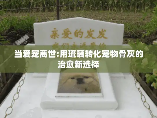 当爱宠离世:用琉璃转化宠物骨灰的治愈新选择