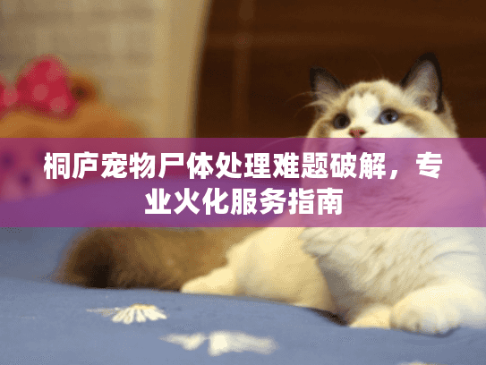 桐庐宠物尸体处理难题破解，专业火化服务指南