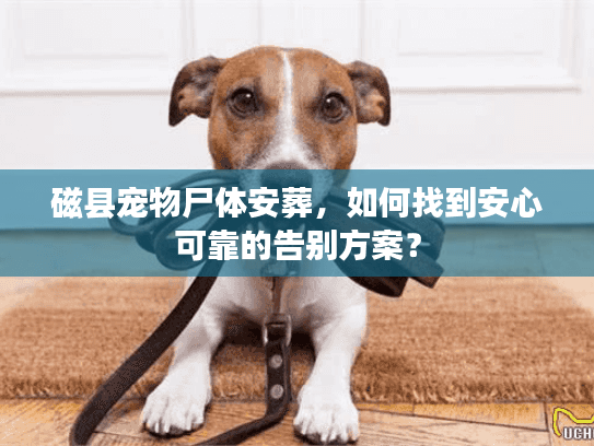 磁县宠物尸体安葬,如何找到安心可靠的告别方案? 磁县宠物尸体安葬,如何找到安心可靠的告别方案?