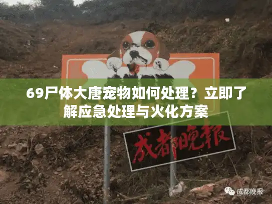 69尸体大唐宠物如何处理？立即了解应急处理与火化方案