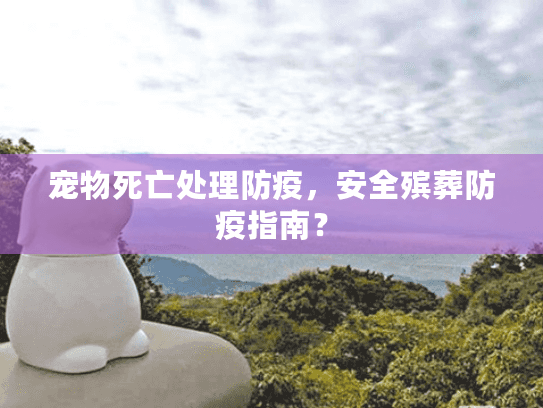 宠物死亡处理防疫，安全殡葬防疫指南？