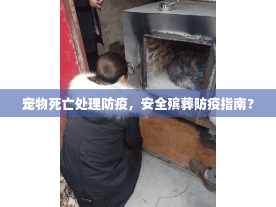 宠物死亡处理防疫，安全殡葬防疫指南？