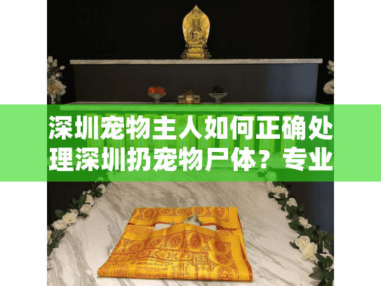 深圳宠物主人如何正确处理深圳扔宠物尸体?专业殡葬服务指南 深圳宠物主人如何正确处理深圳扔宠物尸体?专业殡葬服务指南