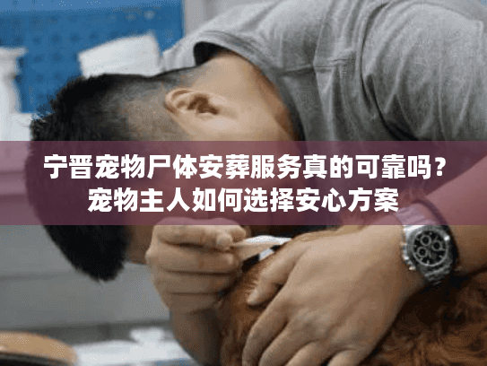 宁晋宠物尸体安葬服务真的可靠吗？宠物主人如何选择安心方案