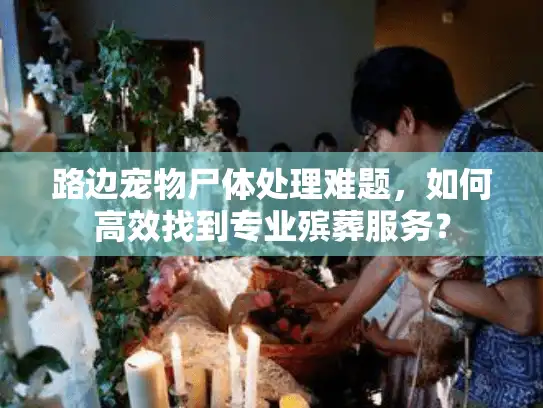 路边宠物尸体处理难题，如何高效找到专业殡葬服务？