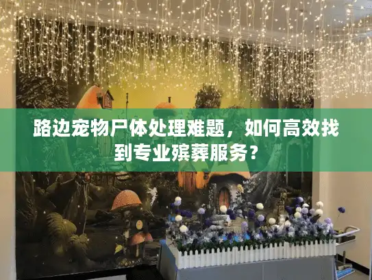 路边宠物尸体处理难题，如何高效找到专业殡葬服务？