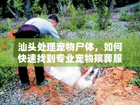 汕头处理宠物尸体,如何快速找到专业宠物殡葬服务? 汕头处理宠物尸体,如何快速找到专业宠物殡葬服务?