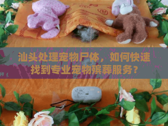 汕头处理宠物尸体,如何快速找到专业宠物殡葬服务? 汕头处理宠物尸体,如何快速找到专业宠物殡葬服务?